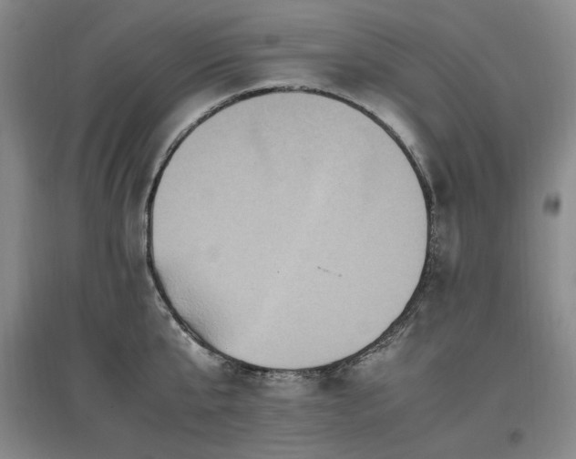 X0000097460807200802221212