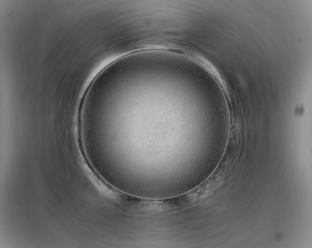 X0000097460811200802221212