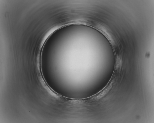 X0000097460812200802221212