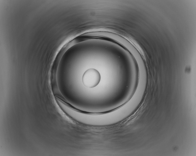 X0000097460813200802221212