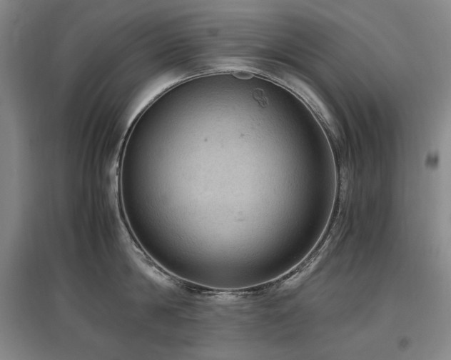 X0000097460814200802221212
