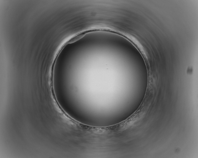 X0000097460815200802221212