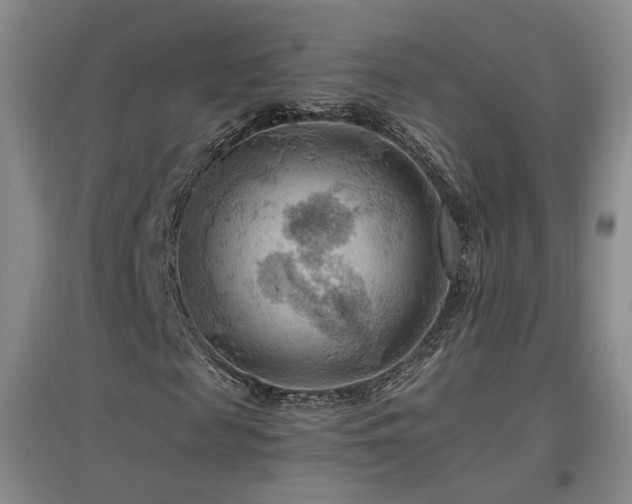 X0000097460817200802221211