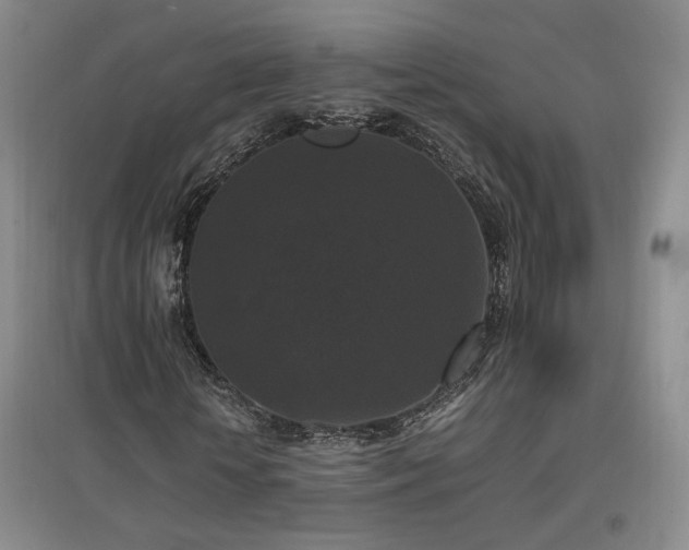 X0000097460818200802221211