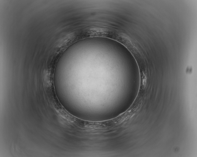 X0000097460819200802221211