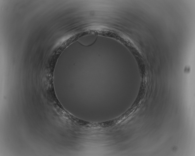 X0000097460822200802221211