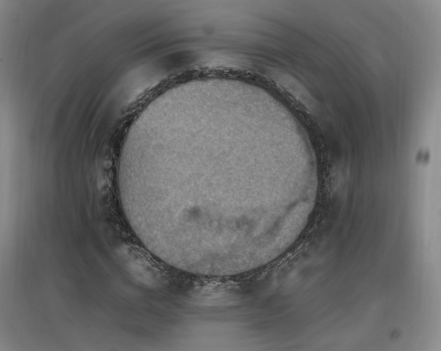X0000097460824200802221211