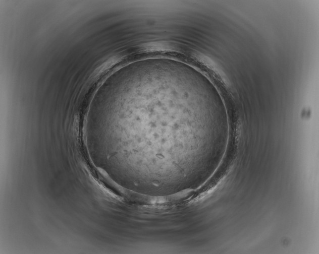 X0000097460825200802221211