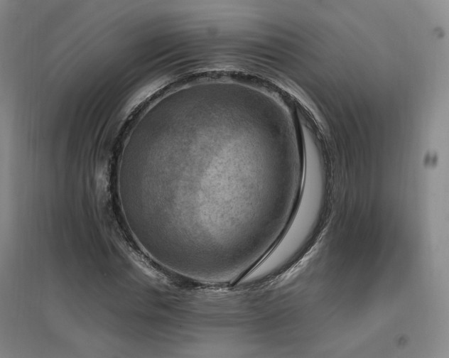 X0000097460826200802221211