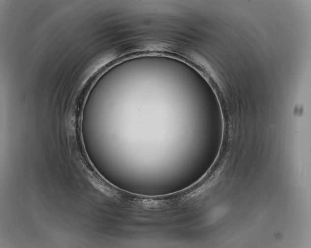 X0000097460827200802221211
