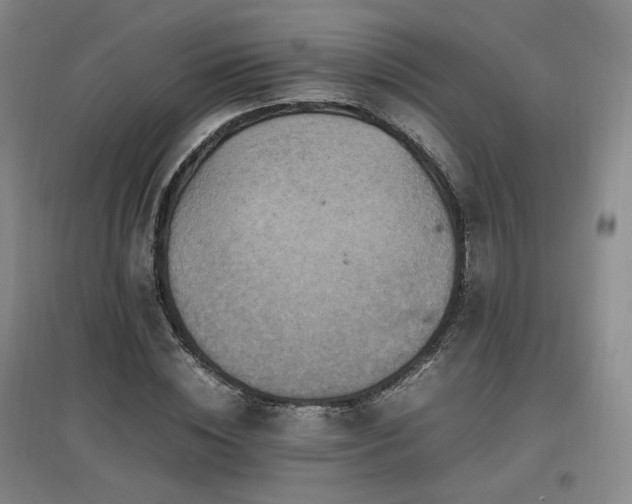 X0000097460828200802221211