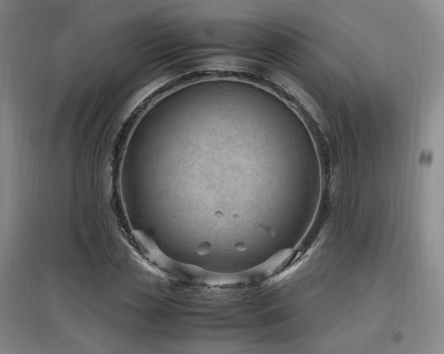 X0000097460829200802221211