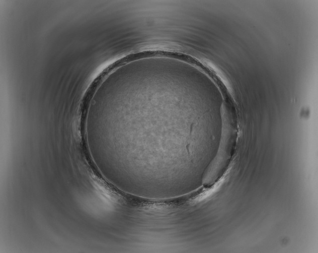 X0000097460830200802221211