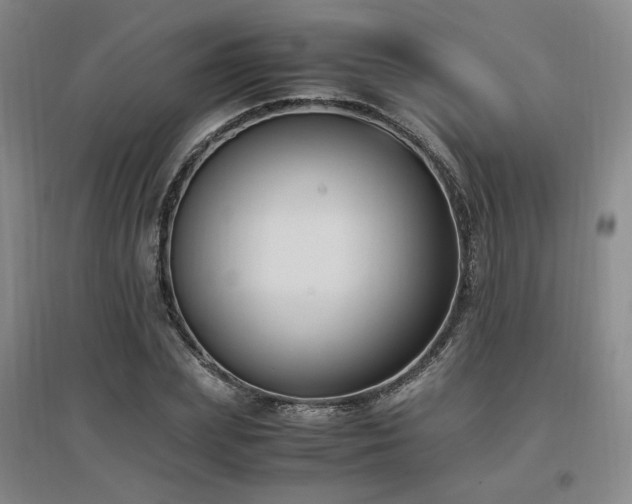 X0000097460831200802221211