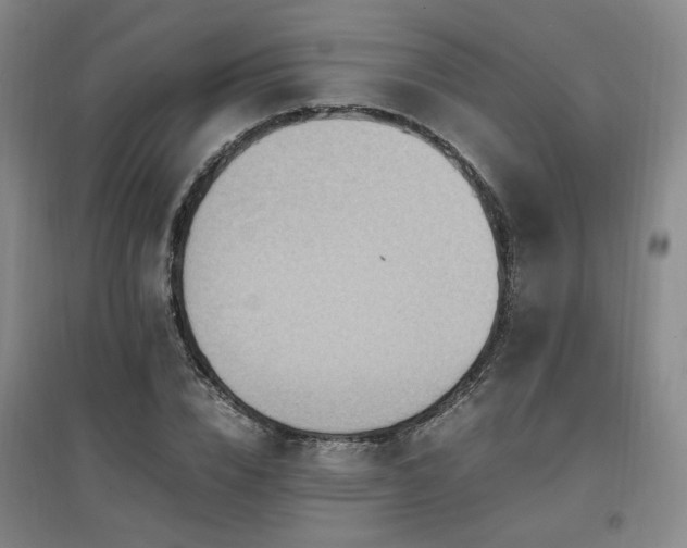 X0000097460832200802221211