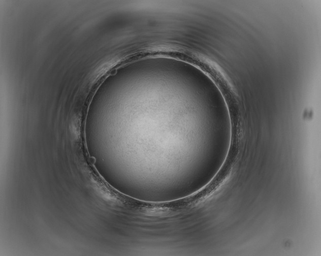 X0000097460833200802221211