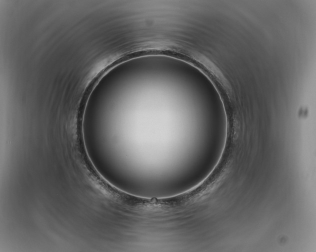X0000097460834200802221211
