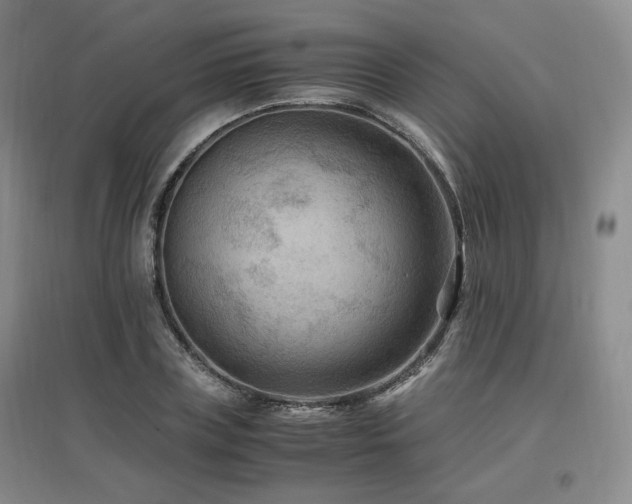 X0000097460835200802221211