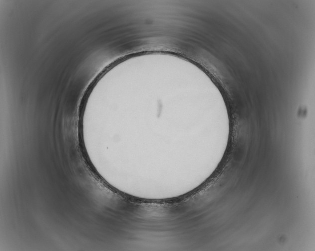X0000097460836200802221211