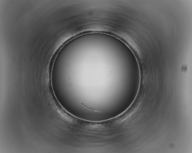 X0000097460837200802221211