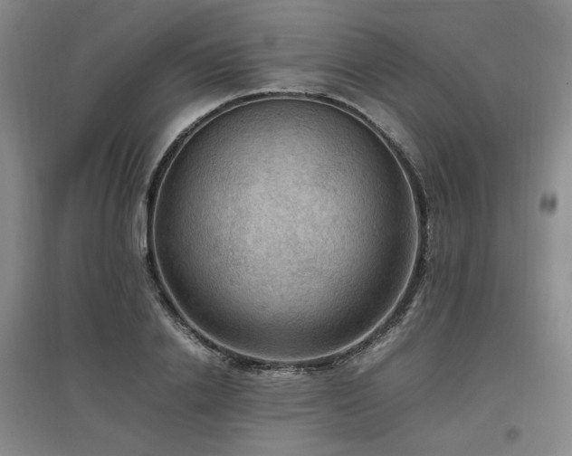 X0000097460838200802221211