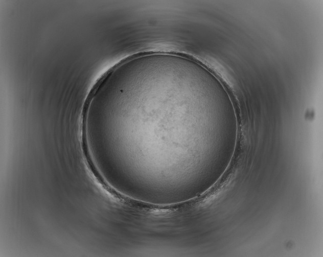 X0000097460839200802221211