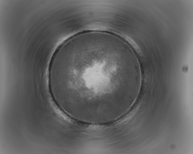 X0000097460840200802221211