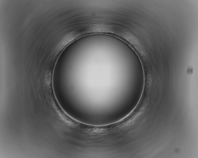 X0000097460841200802221211