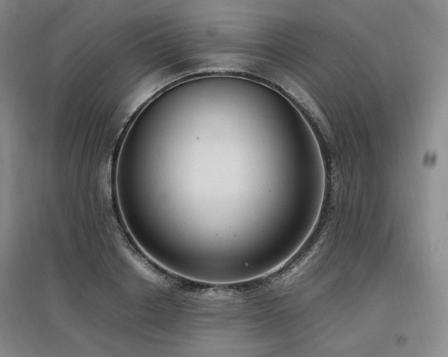 X0000097460842200802221212