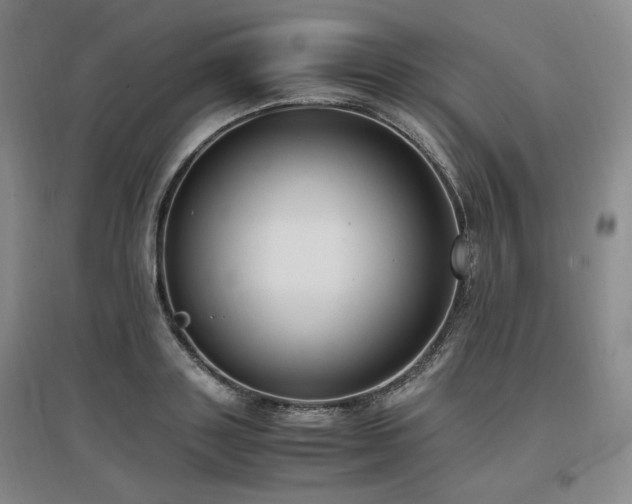 X0000097460843200802221212