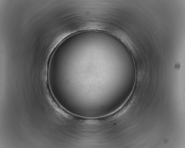 X0000097460844200802221212