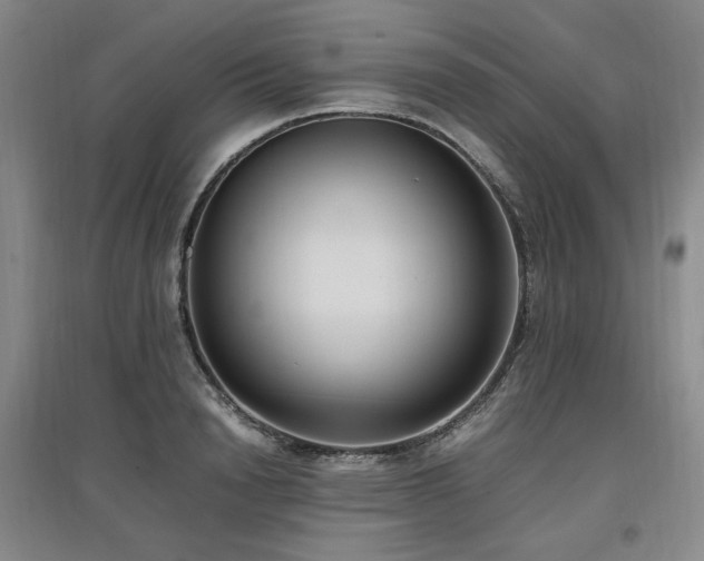 X0000097460846200802221212