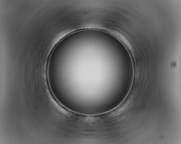 X0000097460847200802221212