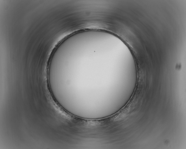 X0000097460848200802221212