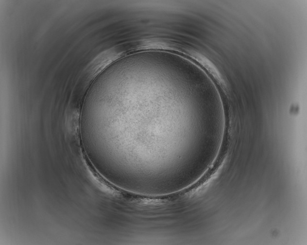 X0000097460849200802221212