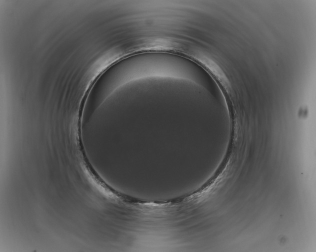 X0000097460850200802221212