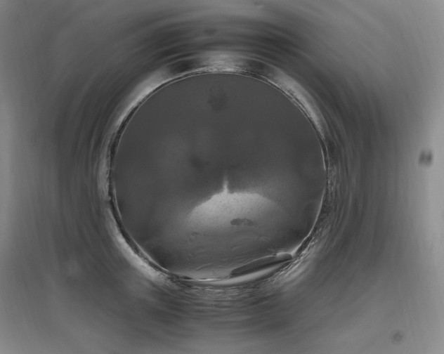 X0000097460851200802221212