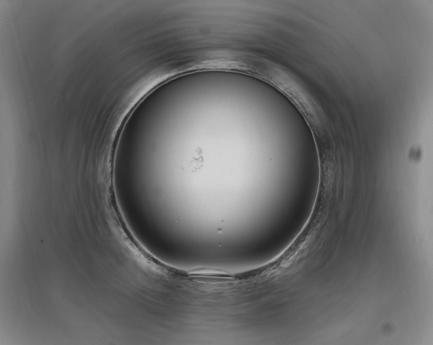 X0000097460852200802221212