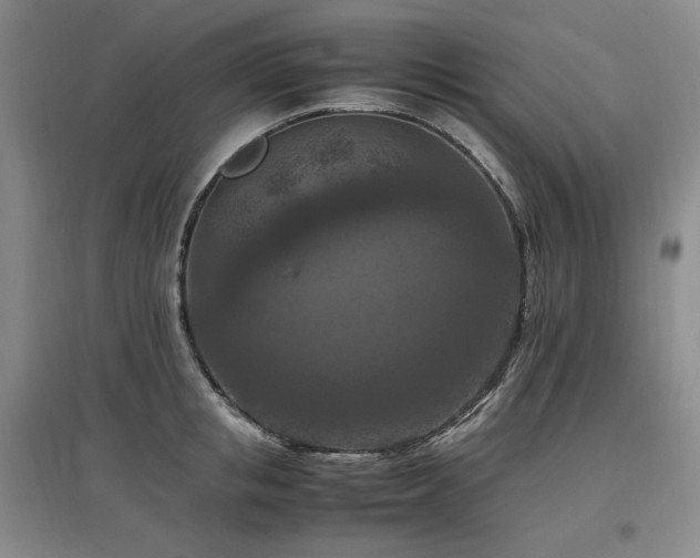 X0000097460853200802221212
