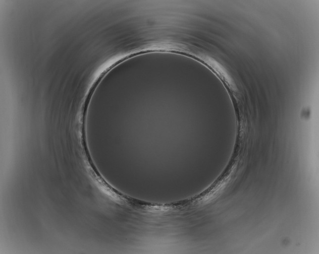 X0000097460854200802221212