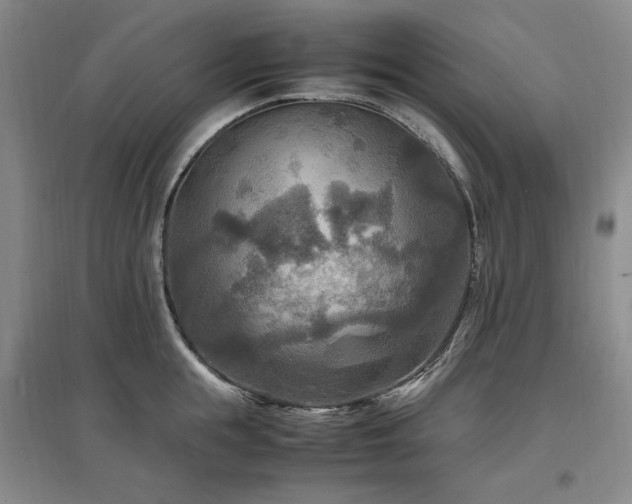 X0000097460855200802221212