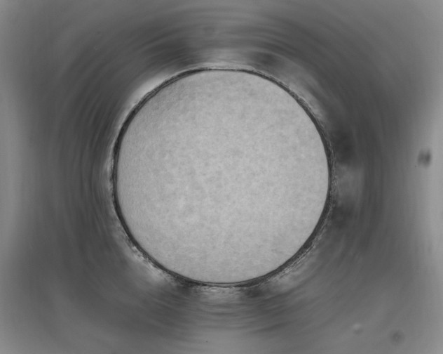 X0000097460856200802221212