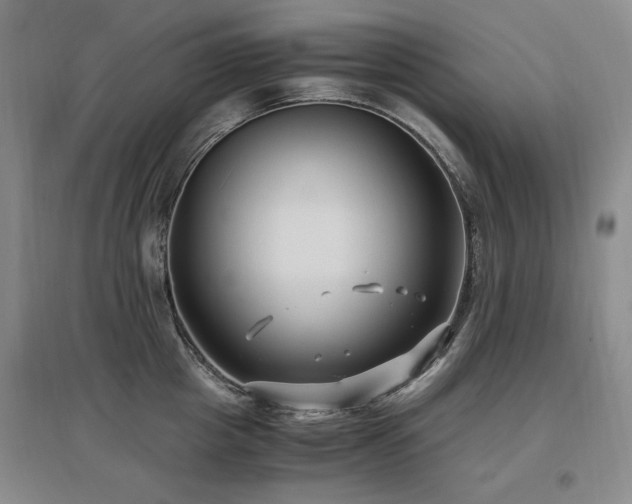 X0000097460857200802221212