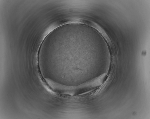 X0000097460858200802221212