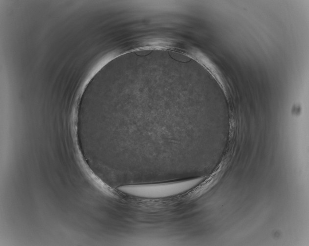 X0000097460859200802221212