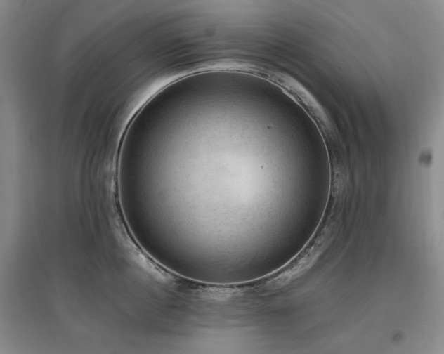 X0000097460860200802221212