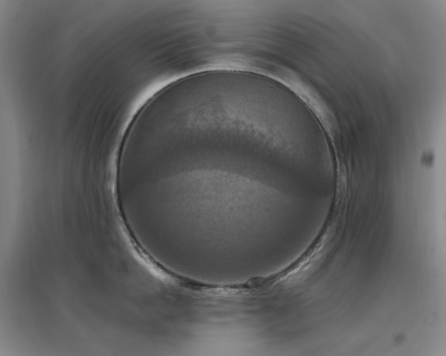 X0000097460862200802221212