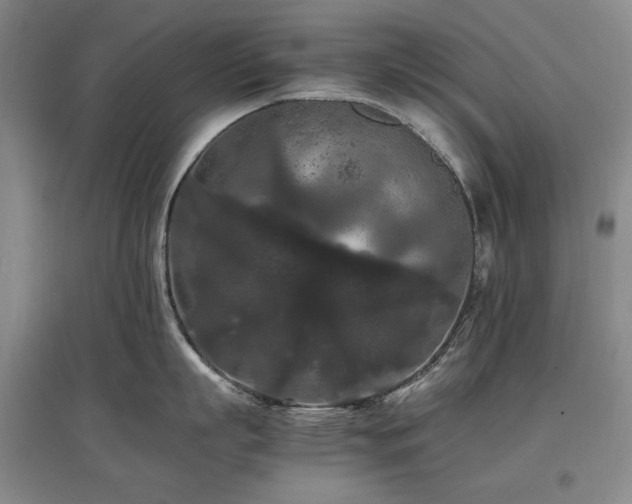 X0000097460863200802221212