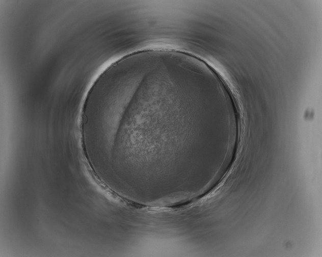 X0000097460864200802221212