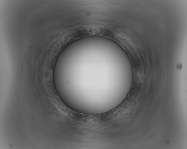 X0000097460865200802221211